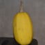 Courge Spaghetti